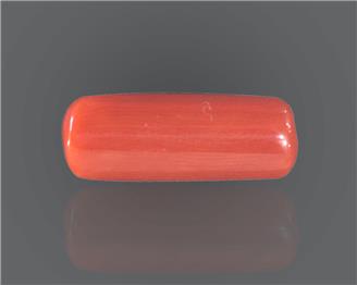 Natural Red Coral 9.85 RTS ( 30628 )